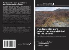 Copertina di Fundamentos para garantizar la estabilidad de los taludes