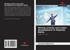 Обложка Mining activity and urban development in Depiatã, Bahia