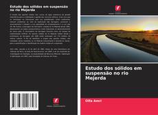 Estudo dos sólidos em suspensão no rio Mejerda kitap kapağı