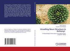 Copertina di Unveiling Noun Structure in Kichonyi: