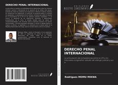 Capa do livro de DERECHO PENAL INTERNACIONAL 