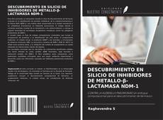 Capa do livro de DESCUBRIMIENTO EN SILICIO DE INHIBIDORES DE METALLO-β-LACTAMASA NDM-1 