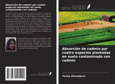 Couverture de Absorción de cadmio por cuatro especies plantadas en suelo contaminado con cadmio