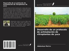 Buchcover von Desarrollo de un protocolo de aclimatación de vitroplantas de yuca
