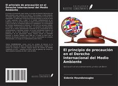 Capa do livro de El principio de precaución en el Derecho Internacional del Medio Ambiente 