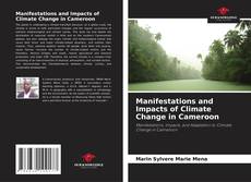 Borítókép a  Manifestations and Impacts of Climate Change in Cameroon - hoz