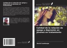 Capa do livro de Calidad de la relación de apego y depresión en jóvenes en tratamiento 