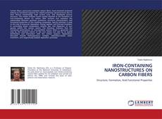 Bookcover of IRON-CONTAINING NANOSTRUCTURES ON CARBON FIBERS