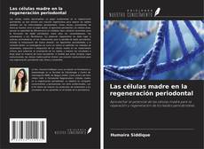 Borítókép a  Las células madre en la regeneración periodontal - hoz
