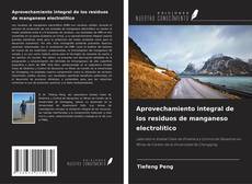 Buchcover von Aprovechamiento integral de los residuos de manganeso electrolítico