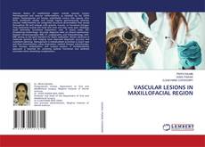 VASCULAR LESIONS IN MAXILLOFACIAL REGION kitap kapağı