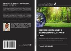 Bookcover of RECURSOS NATURALES E INSTABILIDAD DEL ESPACIO CEPGL