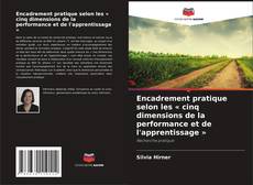Buchcover von Encadrement pratique selon les « cinq dimensions de la performance et de l'apprentissage »