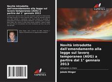 Buchcover von Novità introdotte dall'emendamento alla legge sul lavoro temporaneo (AÜG) a partire dal 1° gennaio 2013