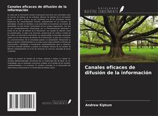 Copertina di Canales eficaces de difusión de la información