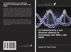 Couverture de La testosterona y sus dímeros alteran la morfología del ADN y del ARNt