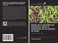 Copertina di Efecto de la densidad de plantación sobre la nodulación de las plantas de caupí