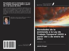 Buchcover von Novedades de la enmienda a la Ley de Trabajo Temporal (AÜG) a partir del 1 de enero de 2013