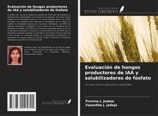 Buchcover von Evaluación de hongos productores de IAA y solubilizadores de fosfato