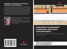 Bookcover of Industrial wastewater treatment and juice concentration