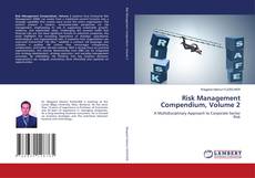 Borítókép a  Risk Management Compendium, Volume 2 - hoz