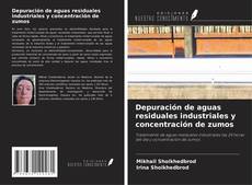 Depuración de aguas residuales industriales y concentración de zumos kitap kapağı