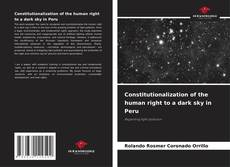 Borítókép a  Constitutionalization of the human right to a dark sky in Peru - hoz