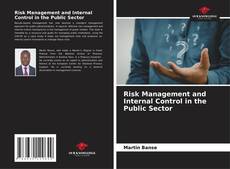 Borítókép a  Risk Management and Internal Control in the Public Sector - hoz