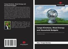 Congo-Kinshasa, Wood Energy and Household Budgets kitap kapağı