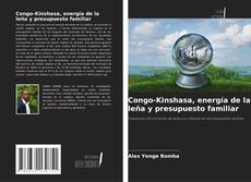 Borítókép a  Congo-Kinshasa, energía de la leña y presupuesto familiar - hoz