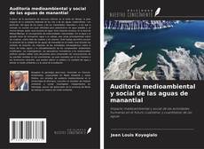 Buchcover von Auditoría medioambiental y social de las aguas de manantial