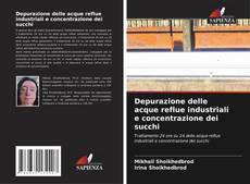 Buchcover von Depurazione delle acque reflue industriali e concentrazione dei succhi