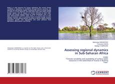 Assessing regional dynamics in Sub-Saharan Africa的封面