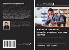Gestión de crisis en las pequeñas y medianas empresas (pymes) kitap kapağı