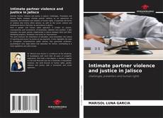 Bookcover of Intimate partner violence and justice in Jalisco
