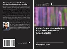 Copertina di Fitoquímica y bioactividad de plantas lamiáceas seleccionadas