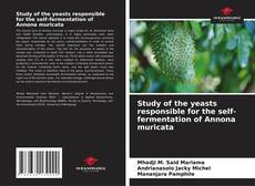 Bookcover of Study of the yeasts responsible for the self-fermentation of Annona muricata