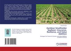 Portada del libro de Zambian Smallholder Soybean: Insurance, Resilience, and Value Addition