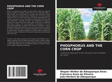 Borítókép a  PHOSPHORUS AND THE CORN CROP - hoz