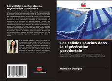 Bookcover of Les cellules souches dans la régénération parodontale