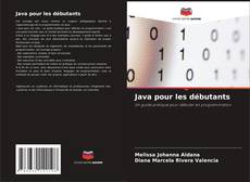 Buchcover von Java pour les débutants