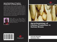 Bookcover of Agroclimatology of Cashew Production in Guinea Bissau