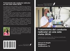 Buchcover von Tratamiento del conducto radicular en una sola visita (ECA)