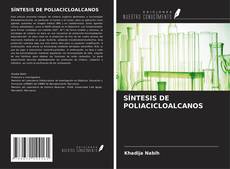 Bookcover of SÍNTESIS DE POLIACICLOALCANOS