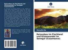 Buchcover von Reisanbau im Flachland und Klimawandel im Senegal (Casamance)