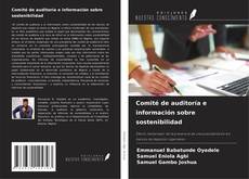 Bookcover of Comité de auditoría e información sobre sostenibilidad