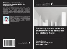 Buchcover von Síntesis y aplicaciones de supramoléculas derivadas del sistema Calix