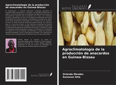 Buchcover von Agroclimatología de la producción de anacardos en Guinea-Bissau