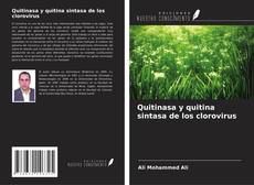Buchcover von Quitinasa y quitina sintasa de los clorovirus