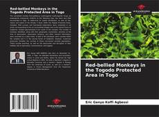 Borítókép a  Red-bellied Monkeys in the Togodo Protected Area in Togo - hoz